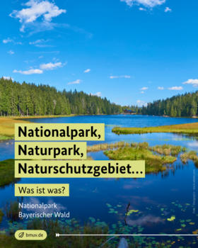 Naturschutz in Deutschland Nationalpark Bayerischer Wald