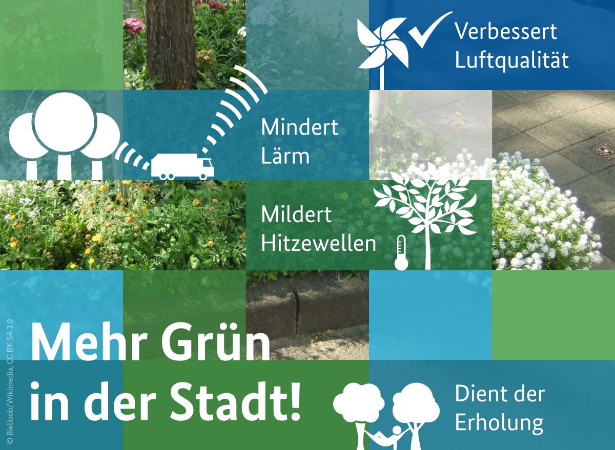 Natur In Der Stadt Fördert Gesundheit, Urbane Lebensqualität Und ...