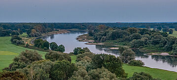 Auenlandschaft der Elbe aus der Vogelperspektive