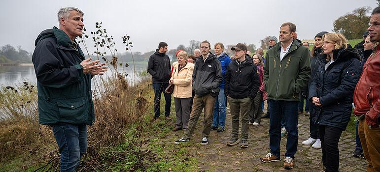 Auenrenaturierung an der Mittleren Elbe