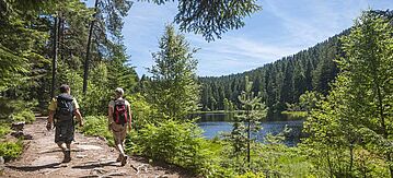 Wanderung durch die Natur