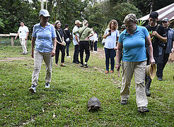 Steffi Lemke und Mitarbeiter der Delegation begleiten eine Schildkröte auf dem Rasen.