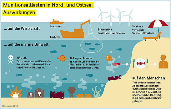 Infografik-Zeichnung: Auswirkungen auf die Wirtschaft, die Unterwasserwelt und den Menschen